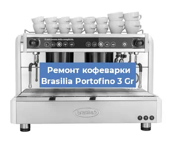 Чистка кофемашины Brasilia Portofino 3 Gr от накипи в Нижнем Новгороде